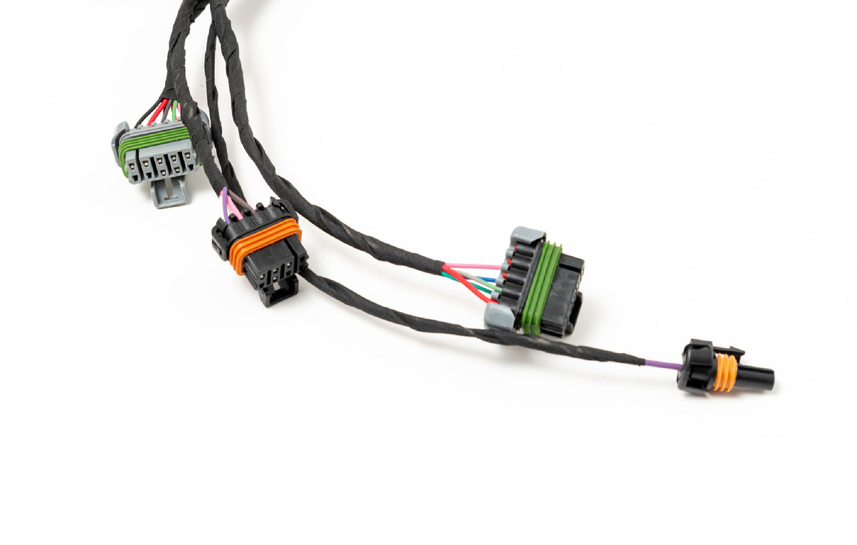 4th Gen F Body Plug-and-Play LSX Harness for Holley EFI