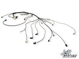 Ford Godzilla Engine Harness System - Haltech NEXUS