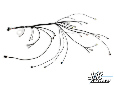 LSX Engine Harness System - Holley EFI