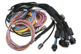 Nexus R5 VCU + Universal Wire-In Harness Kit