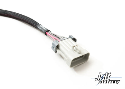 Ford Godzilla Engine Harness System - Haltech NEXUS