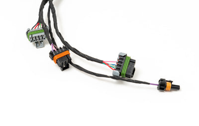 4th Gen F Body Plug-and-Play LSX Harness for Holley EFI