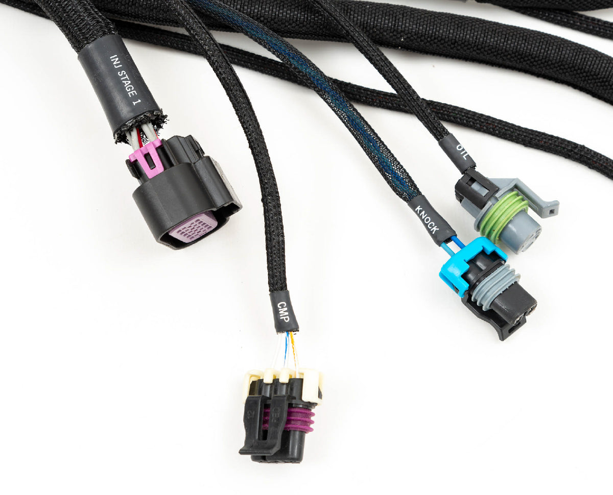 4th Gen F Body Plug-and-Play LSX Harness for Holley EFI